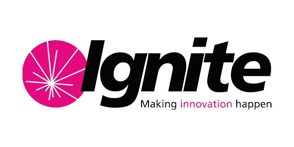 Home Carer of the Year - Ignite