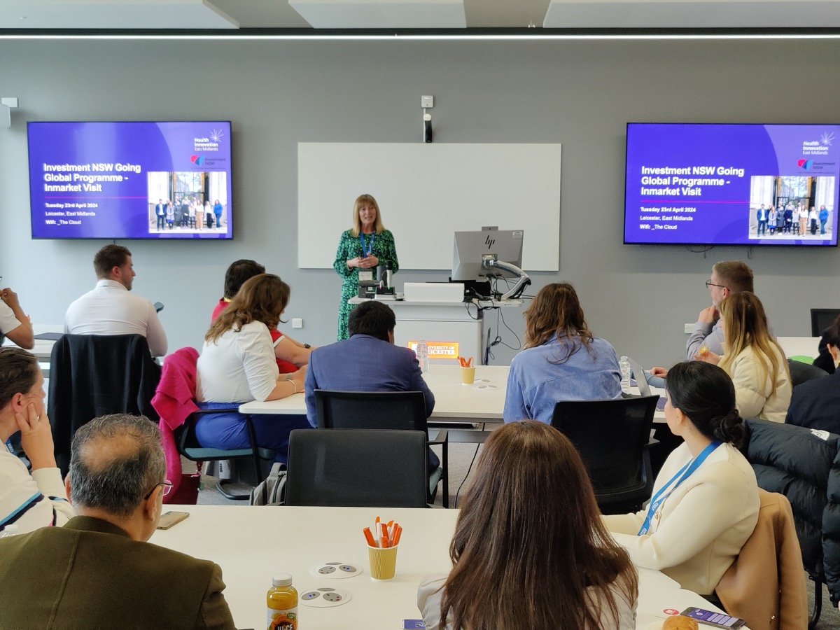 A person presenting to a room full of people