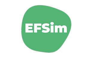 EFSim