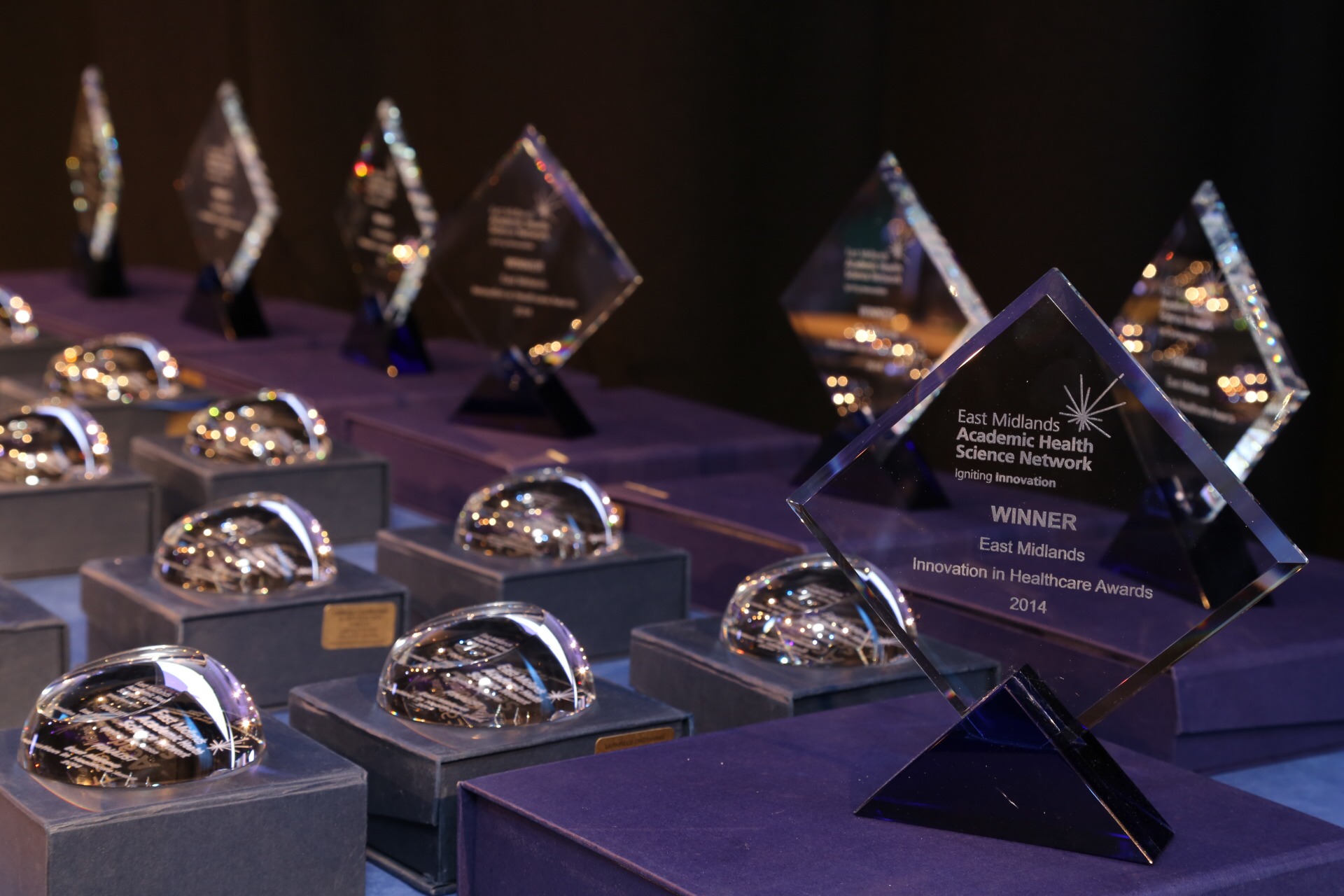 Trophies from EMAHSN Innovation in Health Awards