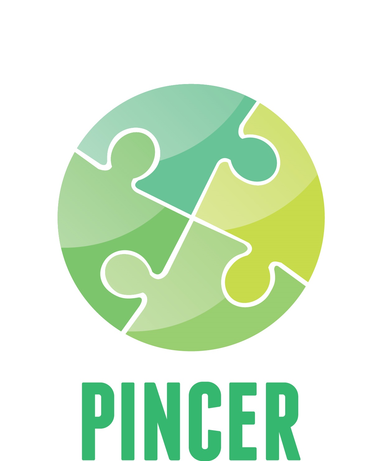 PINCER project logo